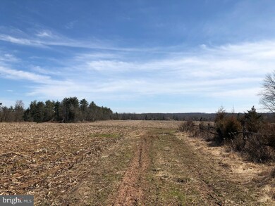 0 New Hope Rd unit PABU522864, Furlong, PA 18925 - photo 6