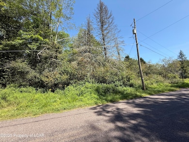 10 Peatmoss Rd, White Haven, PA 18661 - photo 4