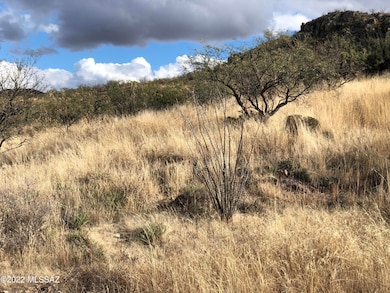 140 Canyon Pass Ct unit 96, Rio Rico, AZ 85648 - photo 7