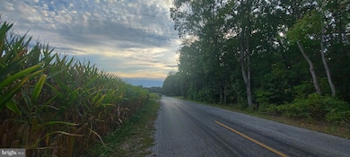 0 00011 08 Mckishen Rd, Pittsgrove, NJ 08318 - photo 3