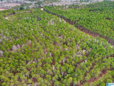 00 County Road 632 unit Acres, Roanoke, AL 36274 - photo 6