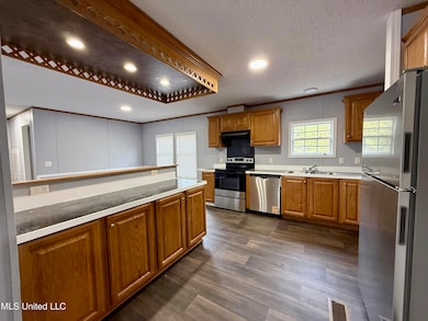 907 Sidney Trail SE, Bogue Chitto, MS 39629 - photo 6