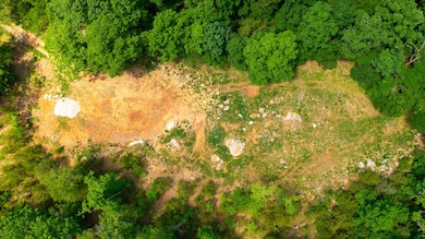 Lots 4 5 6 & Acreage Loch Dr, Kimberling City, MO 65686 - photo 2