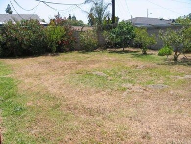 Large Rear Yard With Several Fruit Trees.