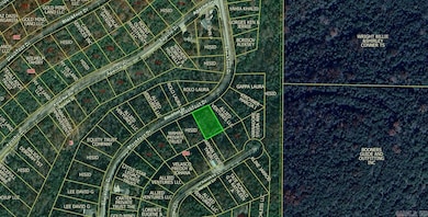 Lot 4 Blackfoot Dr, Holiday Island, AR 72631 - photo 2