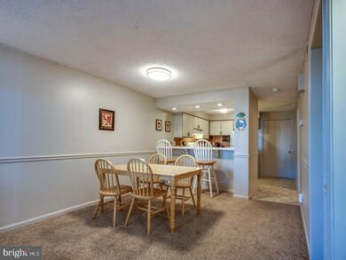 36011 Condo Dr unit A102, Rehoboth Beach, DE 19971 - photo 7