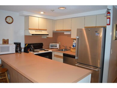 14 Snow Tree Ln unit G, West Dover, VT 05356 - photo 6