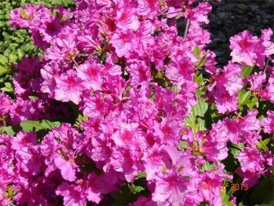 24 Mill Rd, Dudley, MA 01571 - photo 4