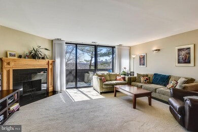 2306 S Quincy St unit 2, Arlington, VA 22204 - photo 5