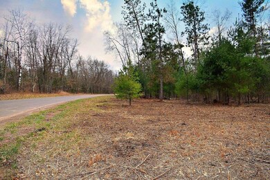 0 Jeffries Rd unit 1506560, Webster, WI 54893 - photo 5