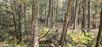 C830 & C83 Lakeside Ln, Albrightsvlle, PA 18210 - photo 2