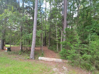 Lot 13 front of site left side.
