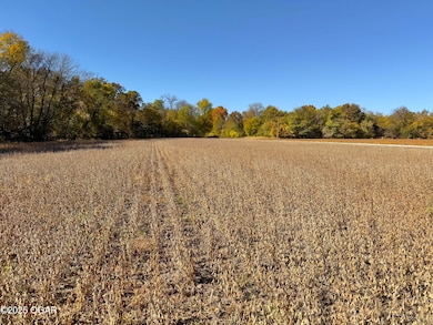 000 Pine Rd, Carthage, MO 64836 - photo 3