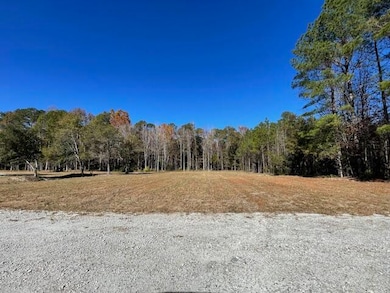608 Bc Estates Ln, Cross, SC 29436 - photo 4