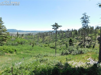 8249 Yuma Cir, Larkspur, CO 80118 - photo 4