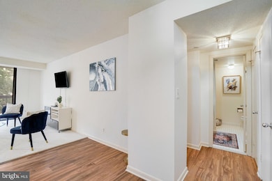 The Barkley unit 406, Arlington, VA 22204 - photo 6