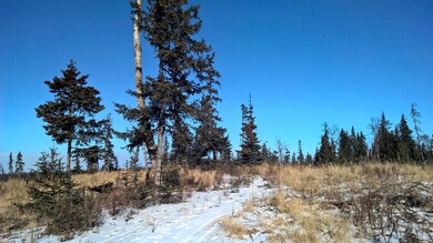 WP_20150313_12_46_15_Pro__highres.jpg