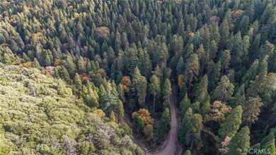 0 Deer Run Rd unit CV25260615, Cedarpines Park, CA 92322 - photo 6