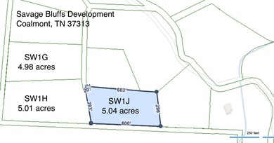 0 Woodfern Ln unit RTC2989105, Coalmont, TN 37313 - photo 6