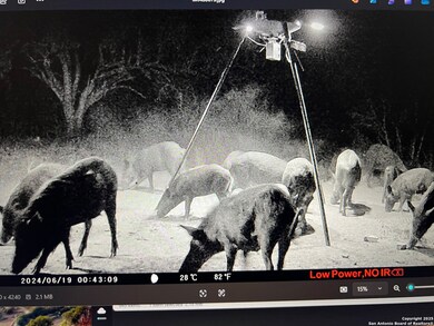 3287 Cr 349, Charlotte, TX 78011 - photo 5