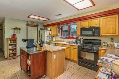 1113 Long Hollow Cir, Durango, CO 81301 - photo 5