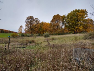IMG_20201017_111633709_HDR