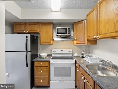 8607D Village Way unit 7/8607D, Alexandria, VA 22309 - photo 4