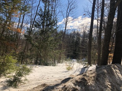 21-45A-1 N Bridgton Rd, Bridgton, ME 04009 - photo 2