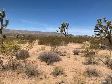 View of nature
