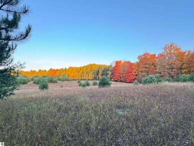 Lot #7 E Bellinger Rd unit 7, Cedar, MI 49621 - photo 2