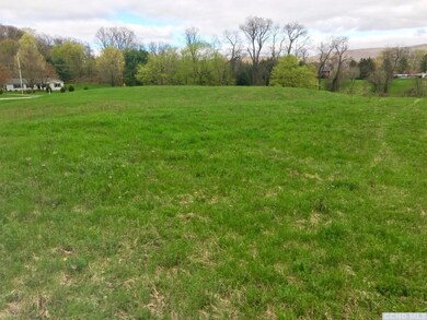 0 Maple Ln unit 119430, Ancramdale, NY 12503 - photo 4