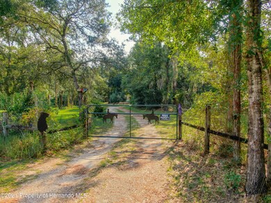 3025 N Page Ave, Hernando, FL 34442 - photo 2