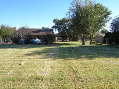 Backyard 4