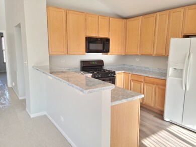 1001 Reserve Dr, Elgin, IL 60124 - photo 5