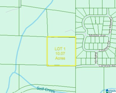 8260 Kermit Jhonson Rd, Pinson, AL 35126 - photo 3