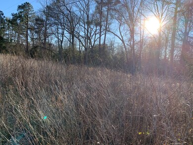 00 White Point Rd, Kinsale, VA 22488 - photo 5