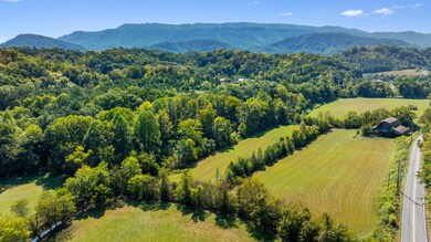 dji_20240911115703_0580_d