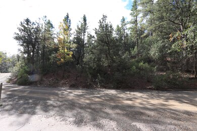 3586 N Pine View Dr, Pine, AZ 85544 - photo 6