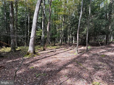 0 Lake Shore Dr unit MDGA2010464, Oakland, MD 21550 - photo 4