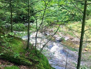 100 Sawkill Ave, Milford, PA 18337 - photo 6