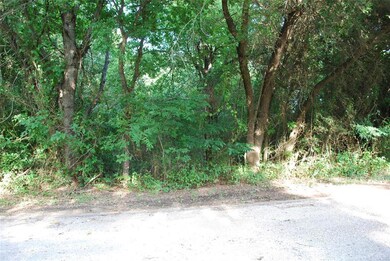 39229 Cedar Park Dr, Whitney, TX 76692 - photo 4