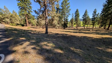 0 Turnstone unit 1020 220207552, Klamath Falls, OR 97601 - photo 2