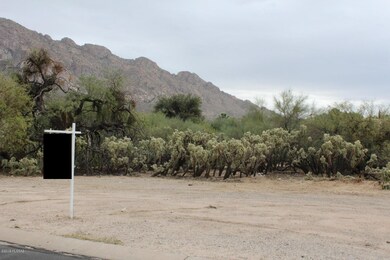 115 W Greenock Dr unit 204, Oro Valley, AZ 85737 - photo 7