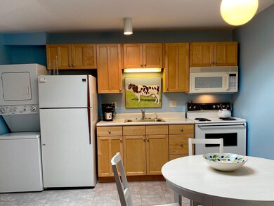 80 Maple Ave unit F, Great Barrington, MA 01230 - photo 4