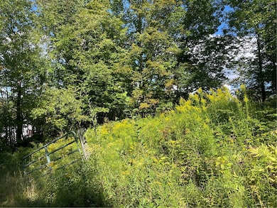 19.221 Turnpike Rd, East Meredith, NY 13757 - photo 5