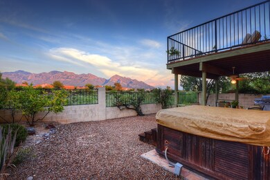 View from Back Yard