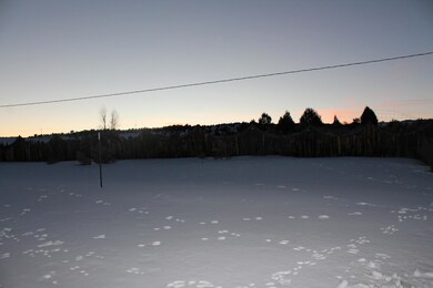 Backyard (2)