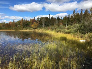 Additional Lake Shot