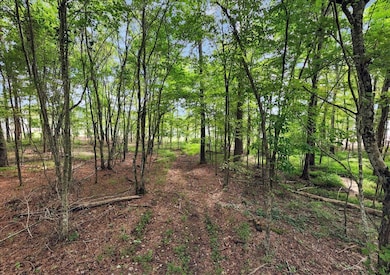 0 Raulston Falls Rd unit RTC2981268, Jasper, TN 37347 - photo 3