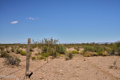 Fence Along West Boundary